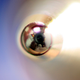 Illustration for article titled Shooting Challenge: Macro Gallery